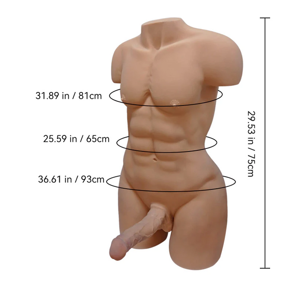 Big Tiger 2.0: Tantaly Male Torso – Pre-Order Now, Pay Full Amount Upon Production