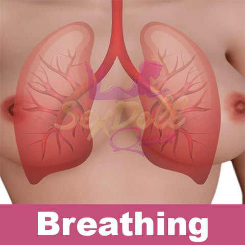 WM Breathing Technology Upgrade (Not to Be Sold Without Sex Doll)