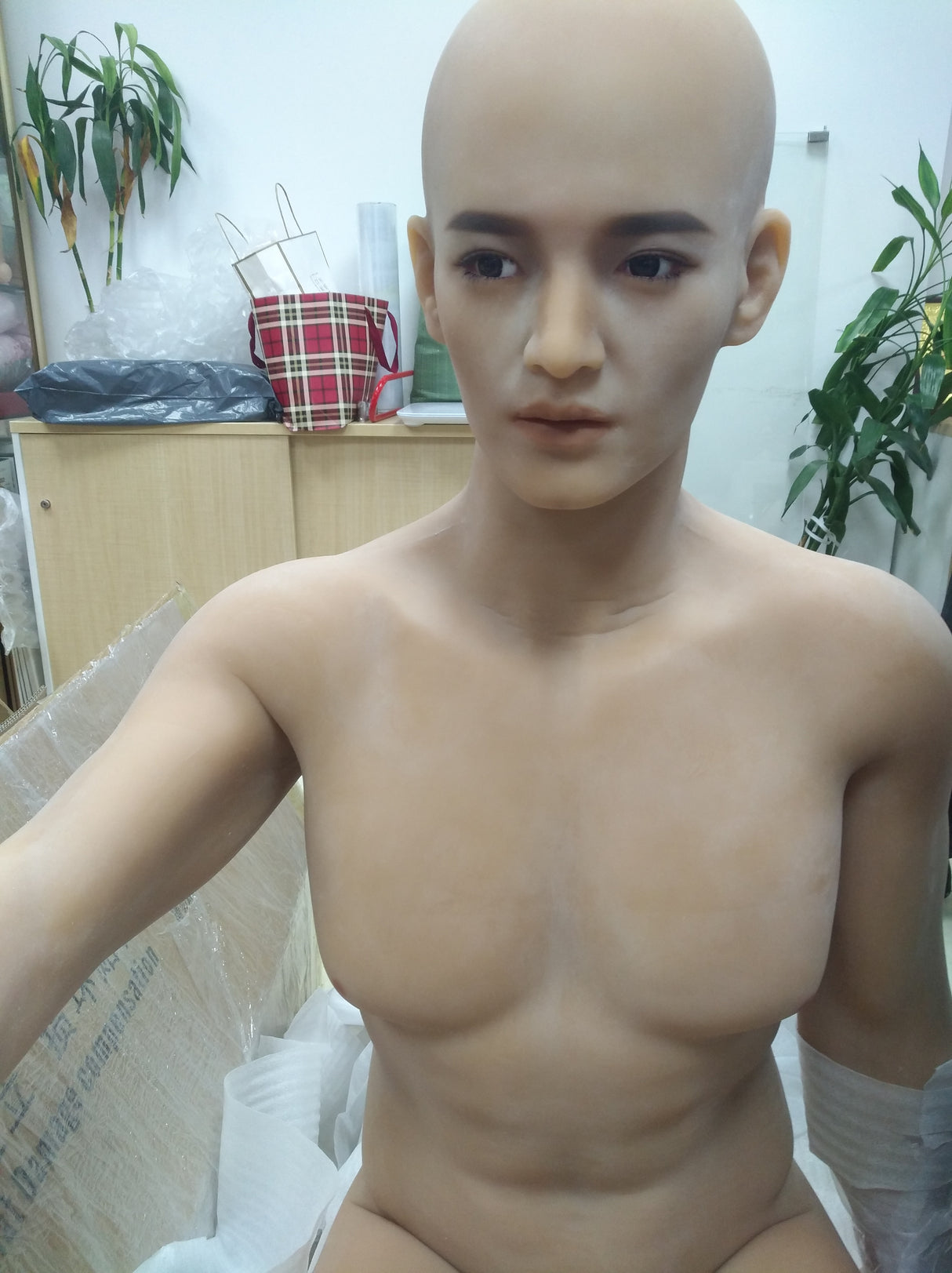 Tang (Blonde): Qita Doll Asian Male Sex Doll